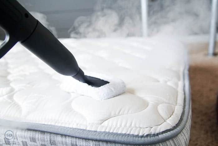 mattress steam sanitization