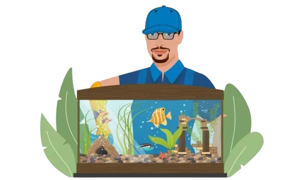 aquarium cleaning