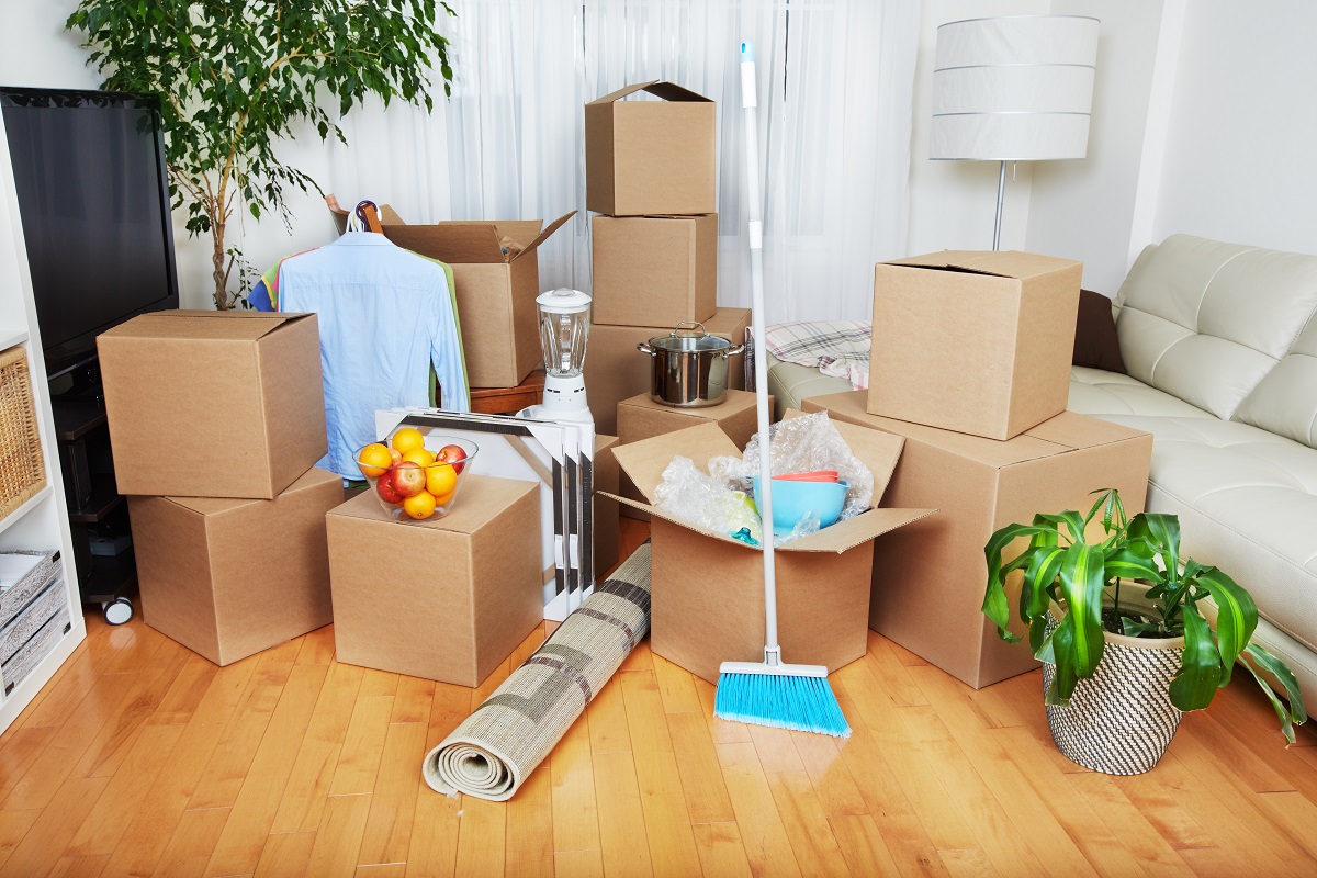 move-in move-out